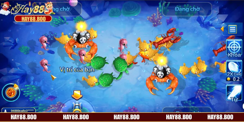 Bí kíp để nhanh chóng thu cá đầy lưới