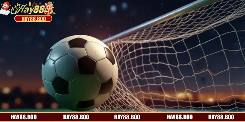 Một số thông tin cần nắm được về khái niệm kèo rung